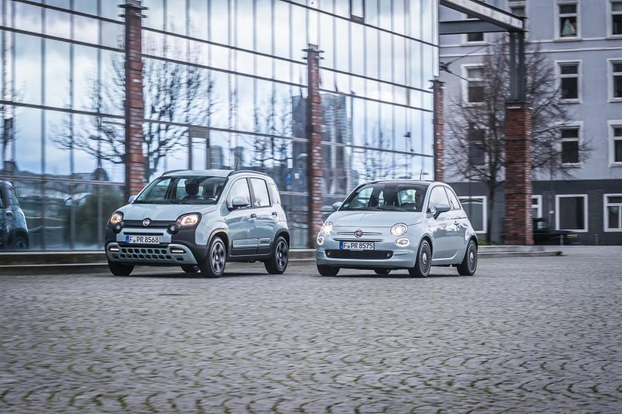  Fiat Panda City Cross Hybrid Launch Edition (319) 2020 года  (фото 110 из 112)